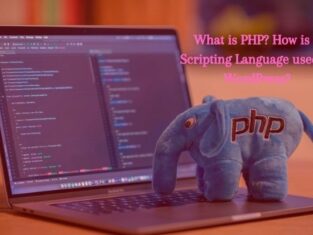 What is PHP How is the Scripting Langauge used in WordPress